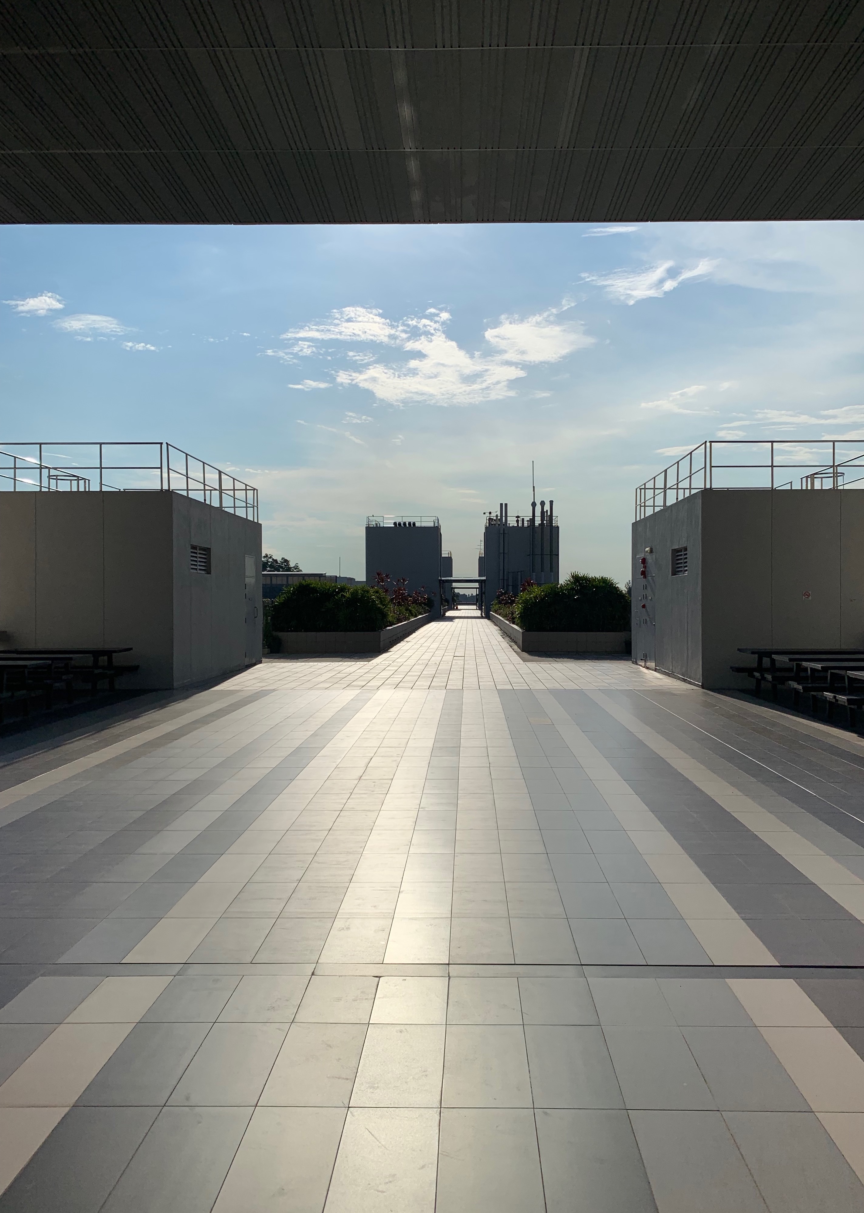 On the roof of the North Spine at NTU, Singapore 2019.